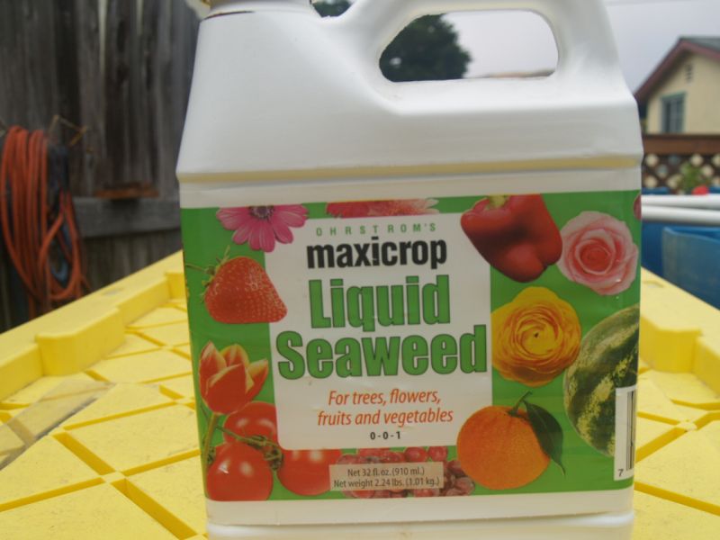 Aquaponics Nutrients 010.JPG