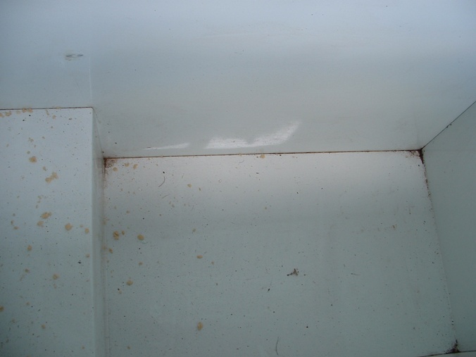 Aquaponics. Fish transport tank 005.jpg