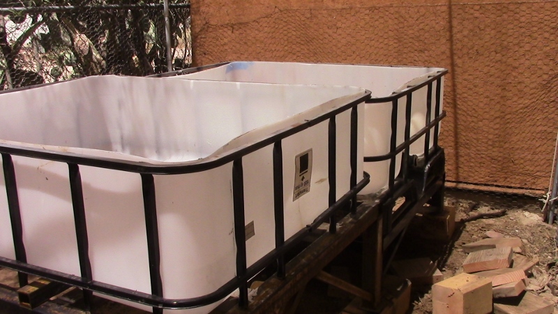 gbsmock (800x450).jpg