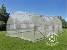 polytunnel.jpg
