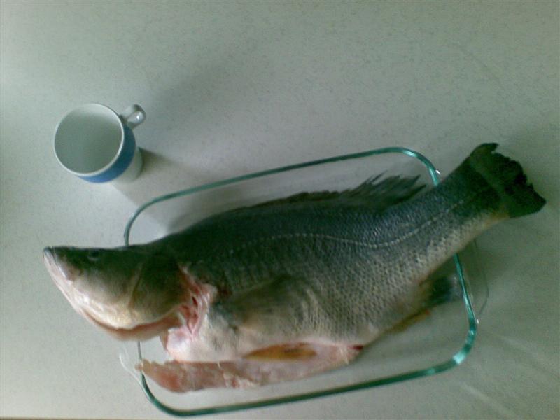 21102007(002) (Medium).jpg