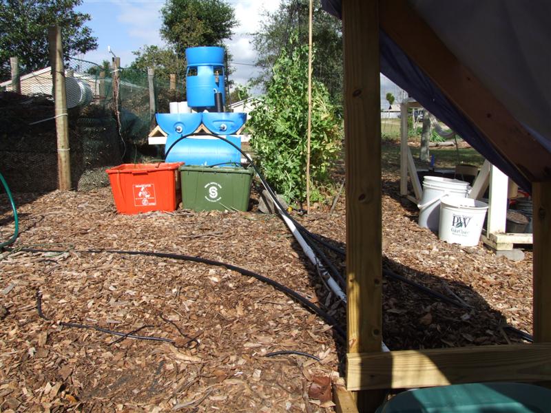 DSCF1524 (Medium).JPG