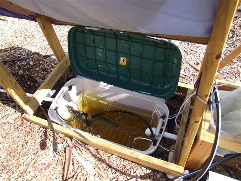 DSCF1525 (Medium).JPG