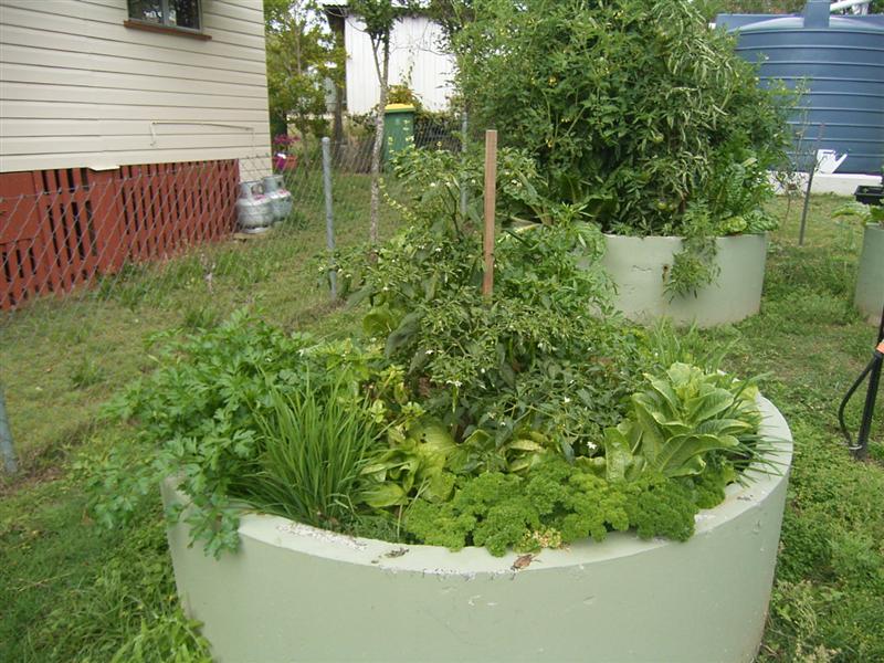 Sheet Mulch Gardens - 16 Sept 06 001 (Medium).jpg