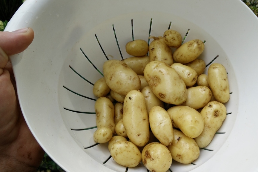 IMG_20160828_172340 (2).jpg