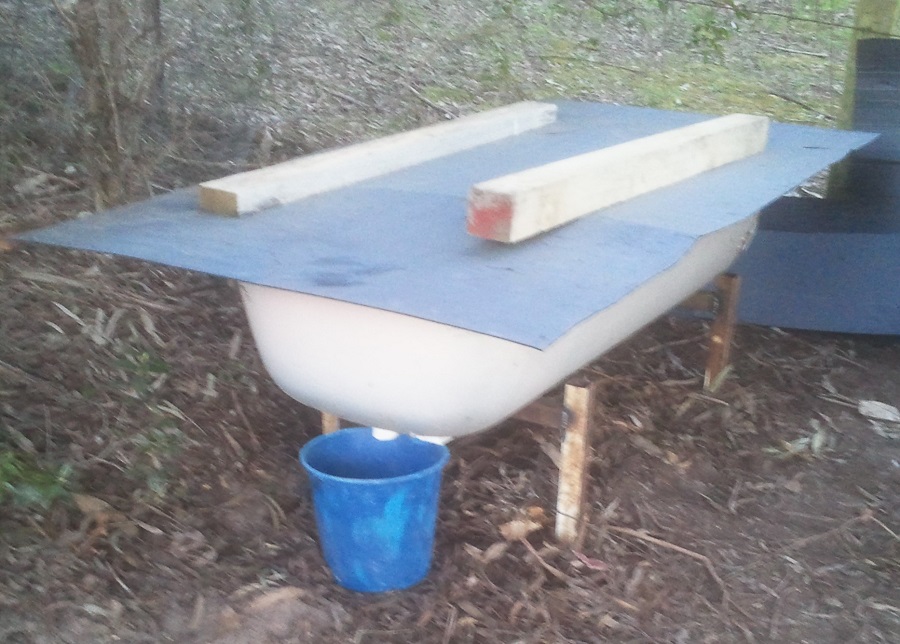 2016-08-29 17.44.18.jpg