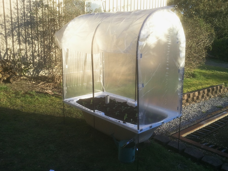 2016-08-29 17.17.17resized.jpg