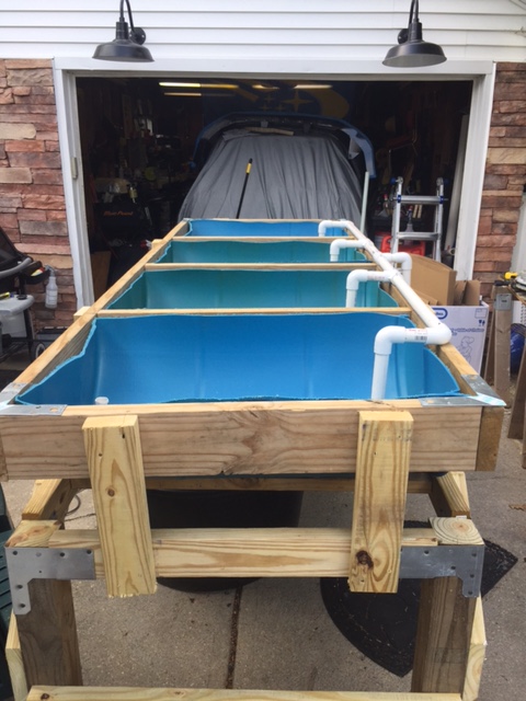 IMG_3264 for rotation.JPG