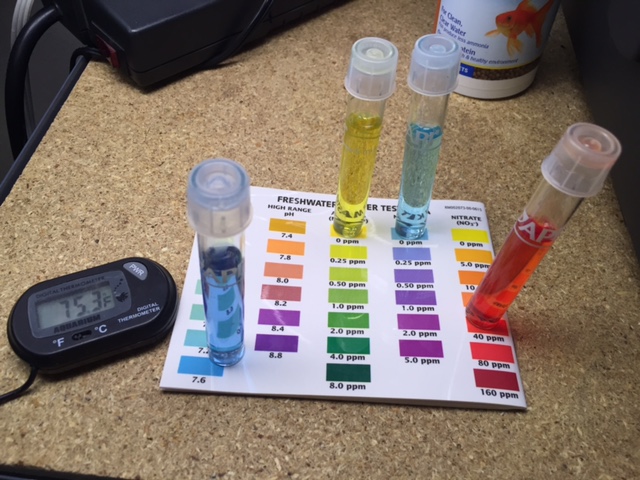 Water Levels 9-12.JPG