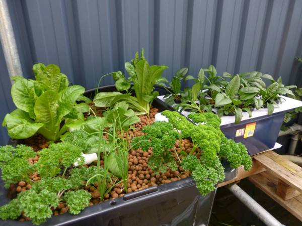 MediaTub+DWC-KISS setup1.jpg