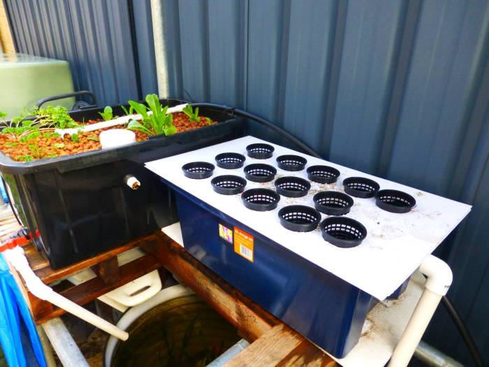 MediaTub+DWC-KISS setup2.jpg