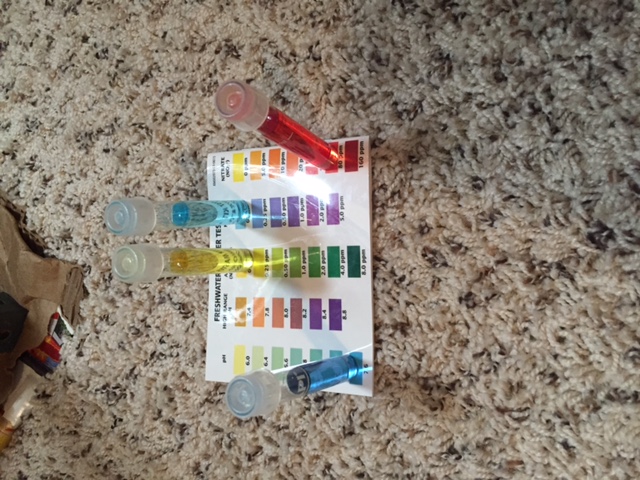 Water Levels 9-20.JPG