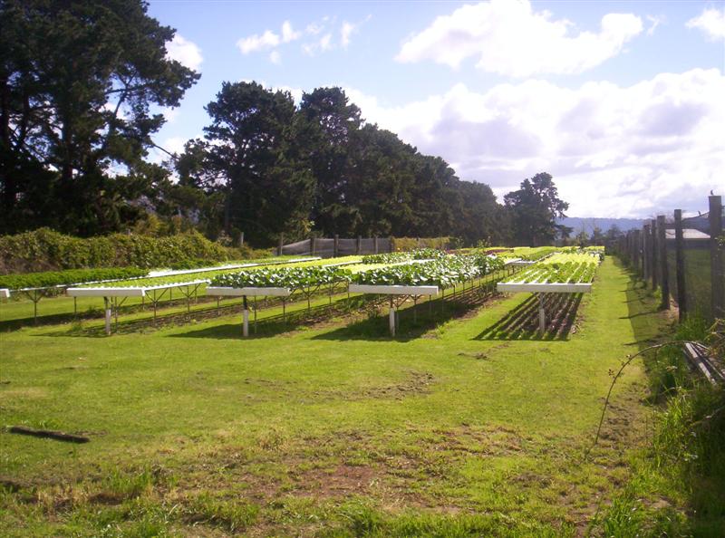 100_2204 (Medium).JPG