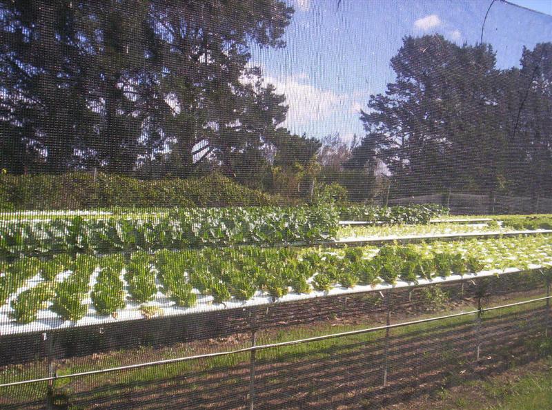 100_2207 (Medium).JPG