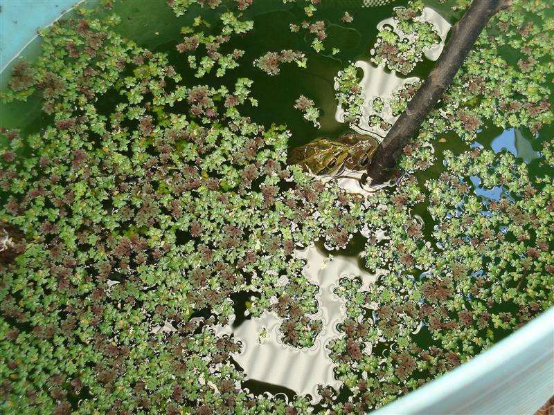 DSC00192 (Medium).JPG