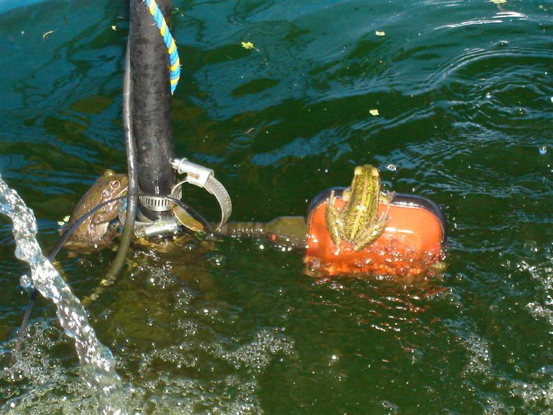 DSC00189 (Medium).JPG