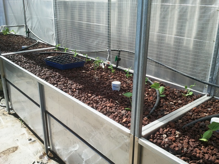 2016-10-03 11.13.24RS.jpg