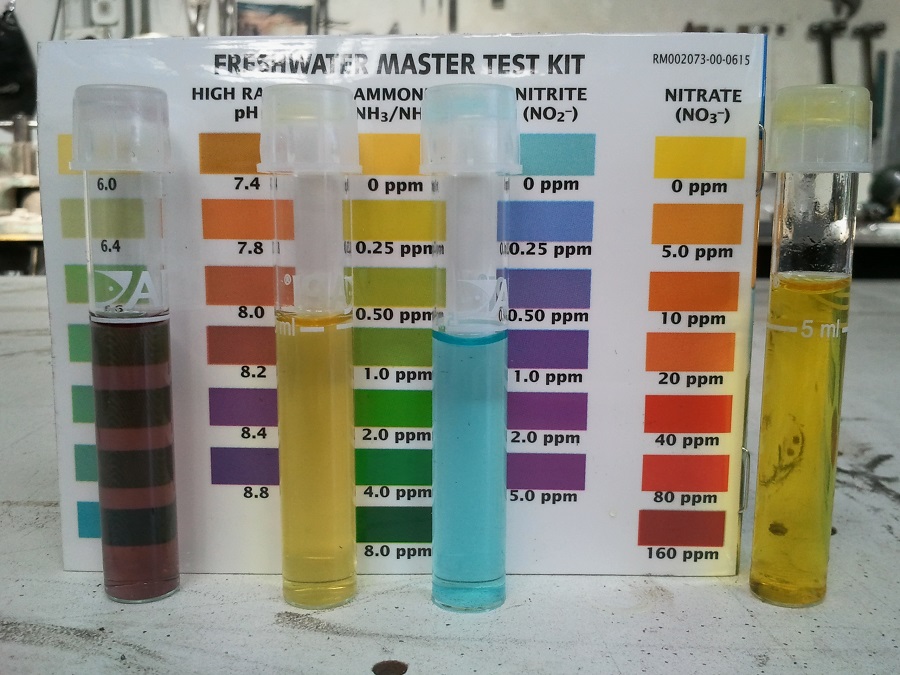 2016-10-06 10.22.19RS.jpg