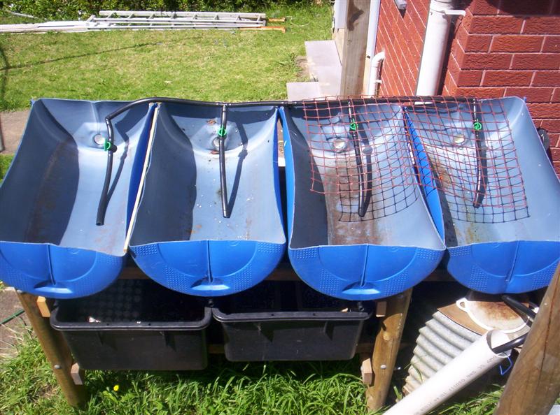 100_2304 (Medium).JPG