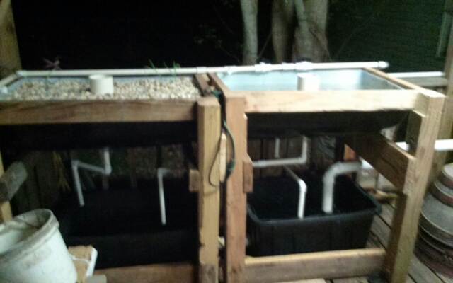 GB's and Sump Tanks.jpg