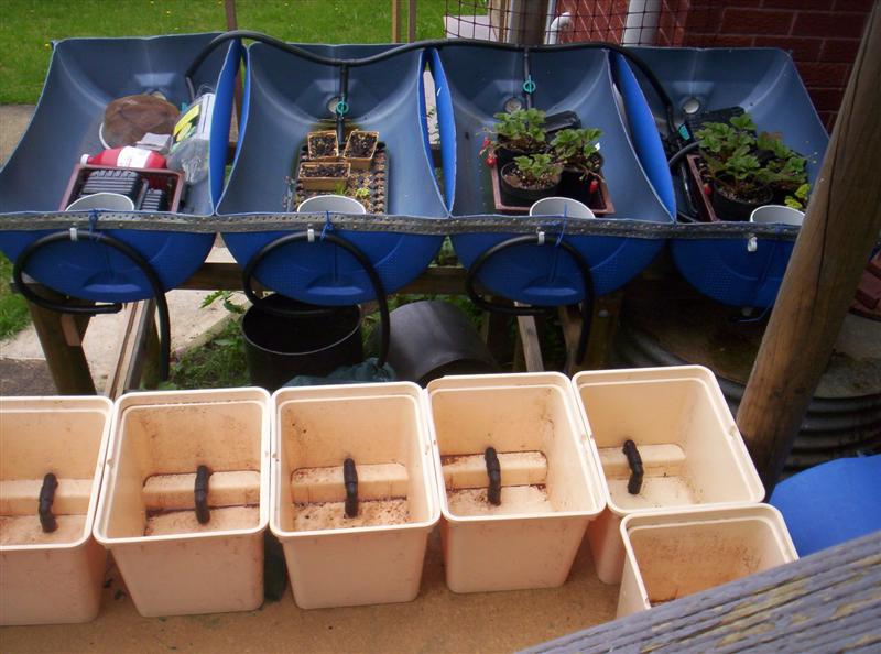 100_3073 (Medium).JPG