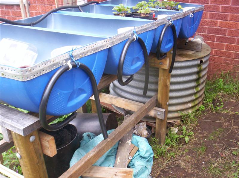 100_3074 (Medium).JPG