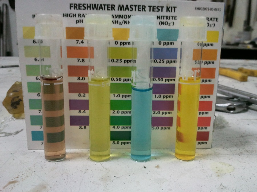 2016-10-14 19.45.06.jpg