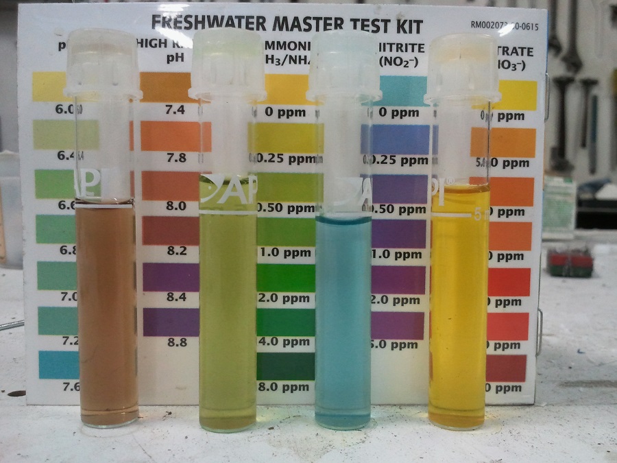 2016-10-15 18.58.00.jpg