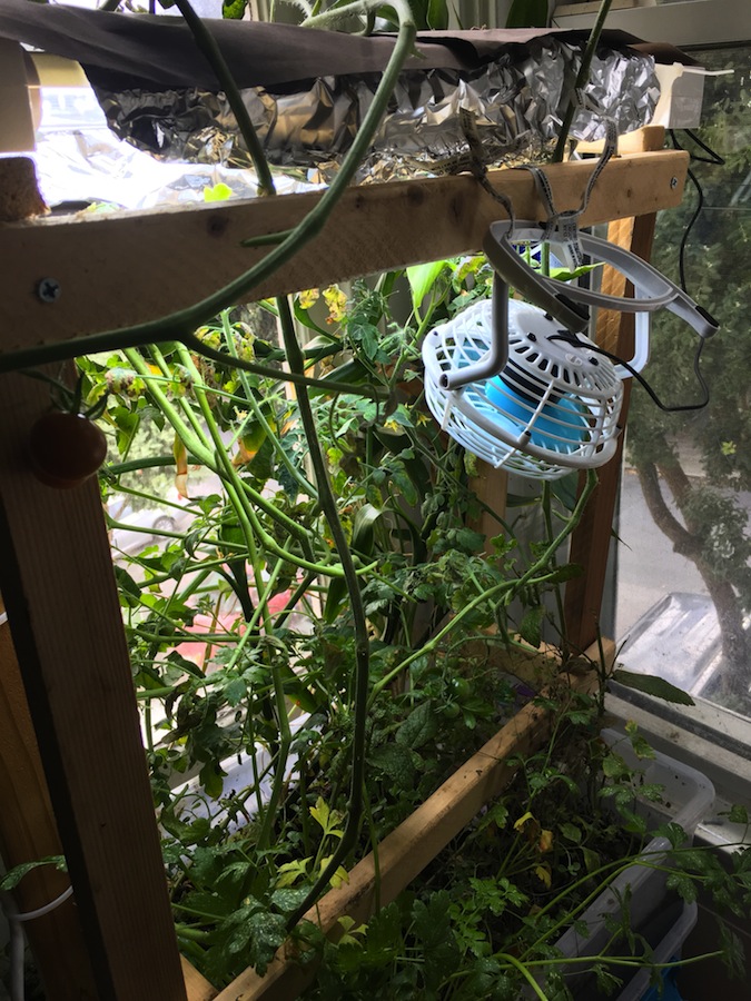 Slack for iOS Upload.jpg