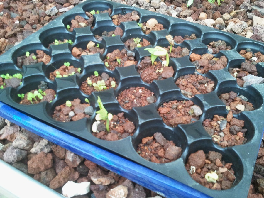 2016-10-16 18.33.02.jpg