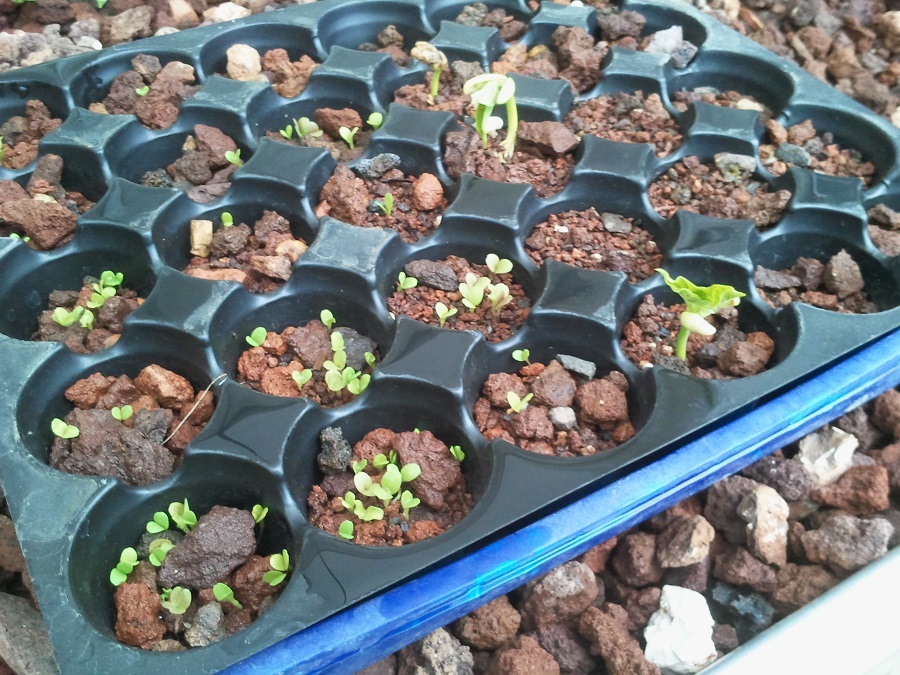 2016-10-16 18.32.44.jpg