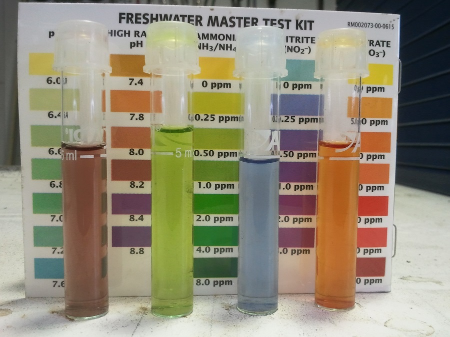 2016-10-17 12.39.29.jpg