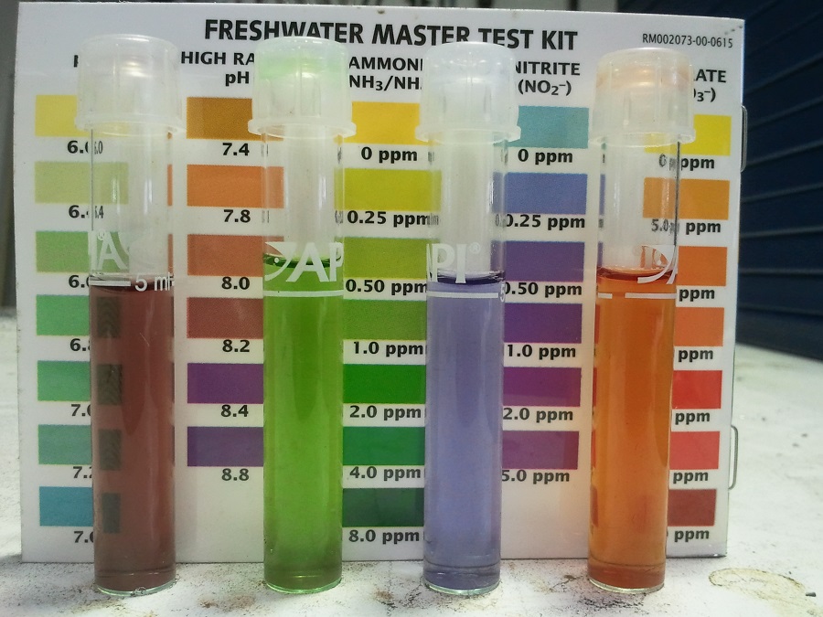 2016-10-18 16.30.10.jpg