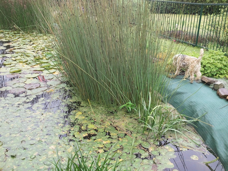 2016-10-18 10.42.15.jpg