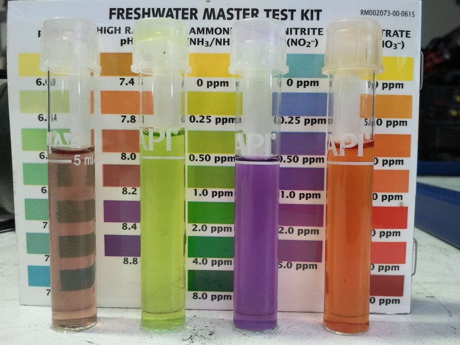 2016-10-21 12.48.27.jpg