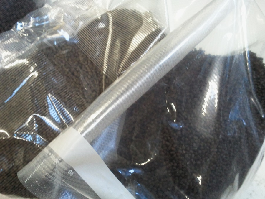 2016-10-22 18.39.29.jpg