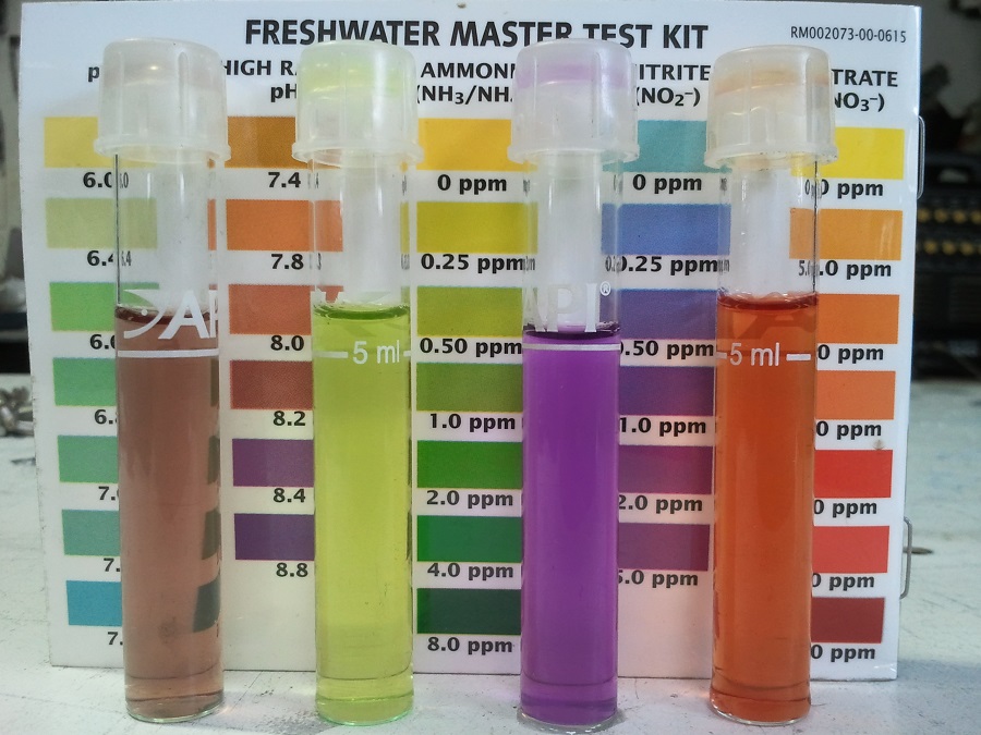 2016-10-22 13.55.44.jpg