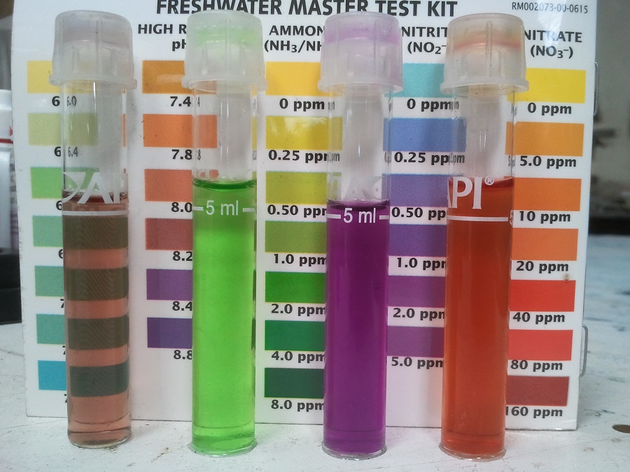 2016-10-23 14.13.27.jpg