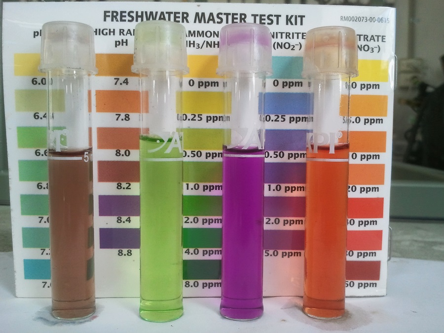 2016-10-24 13.08.51.jpg