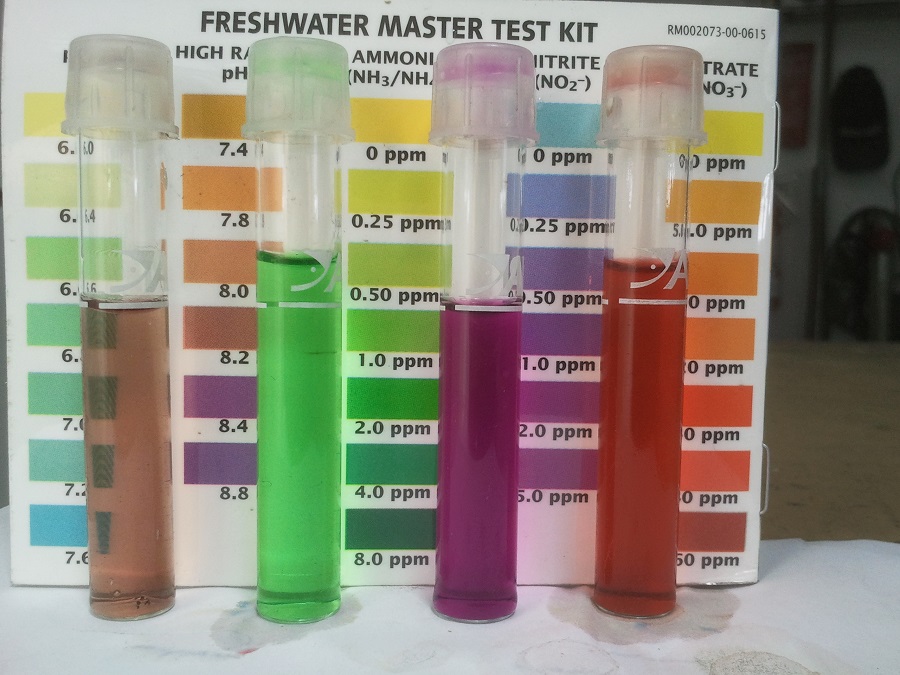 2016-10-25 13.07.23.jpg