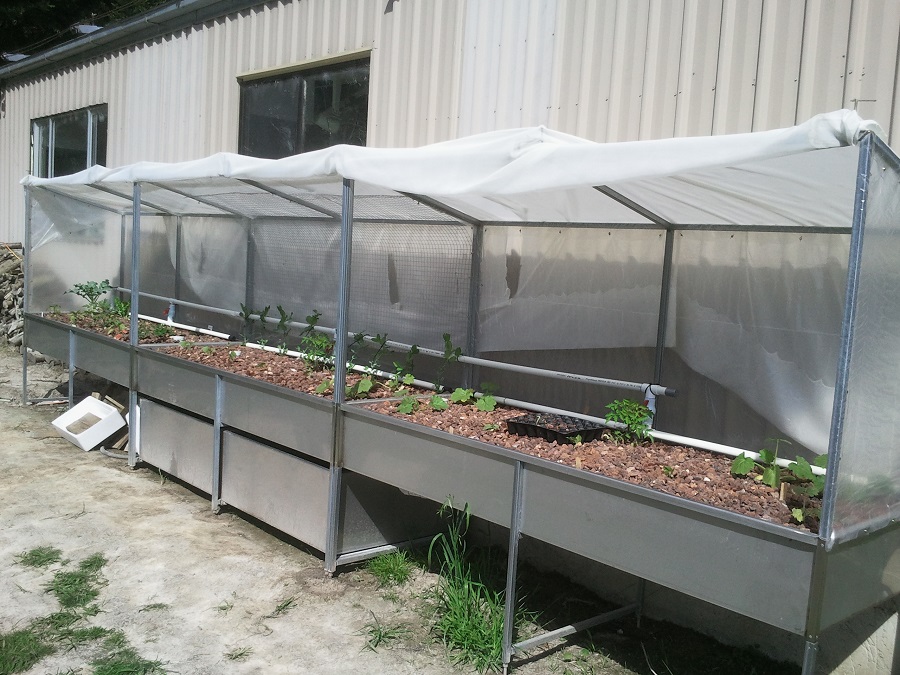 2016-10-28 15.57.50.jpg