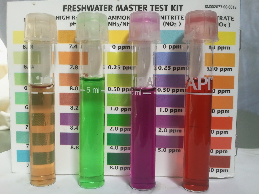 2016-10-28 15.52.10.jpg