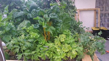 2016-10-30 20.06.30.jpg