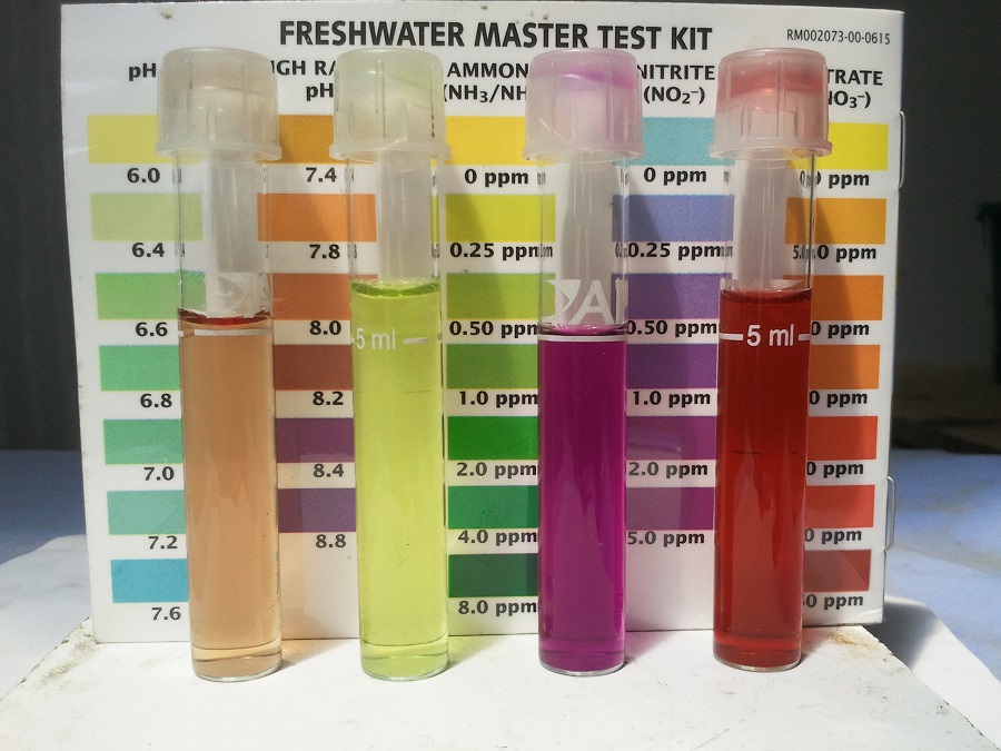 2016-10-31 12.46.54.jpg