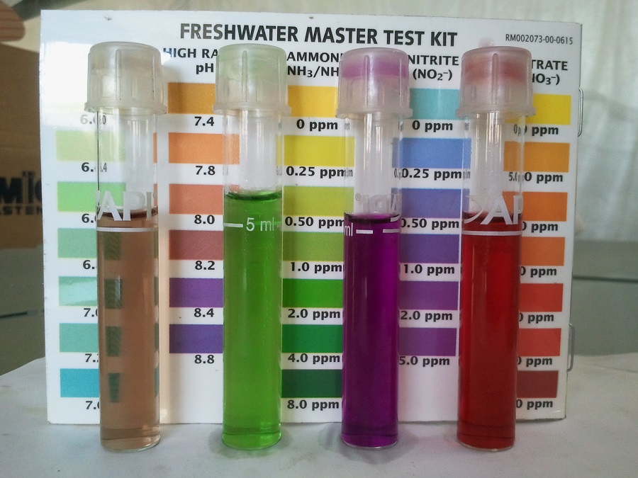 2016-10-29 18.45.50.jpg