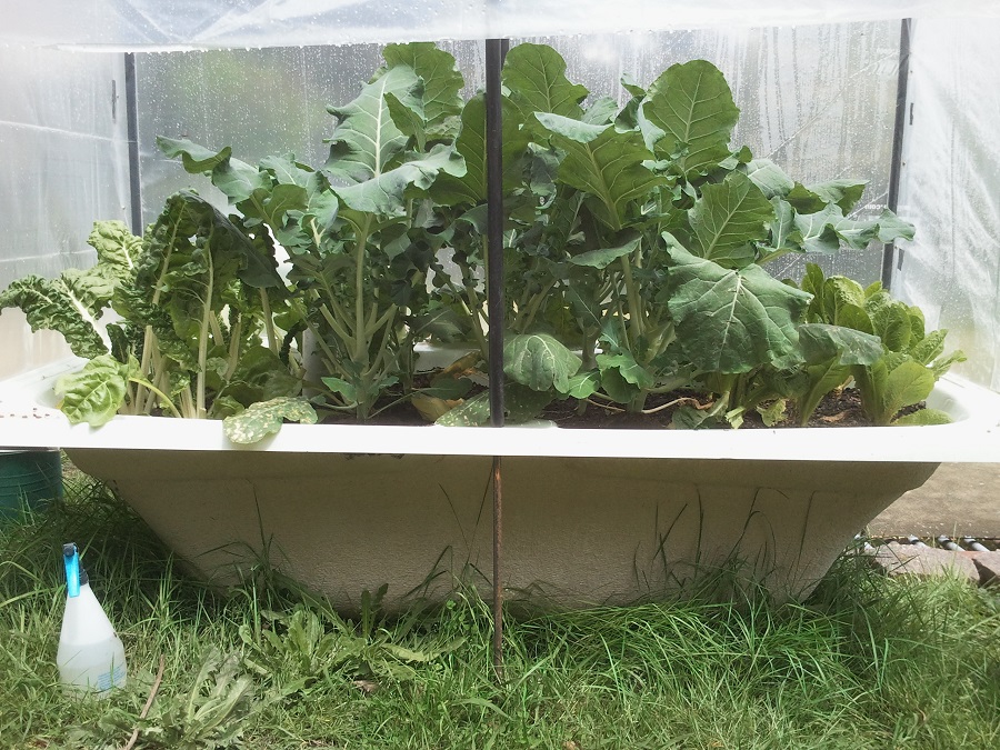 2016-10-23 12.15.24.jpg