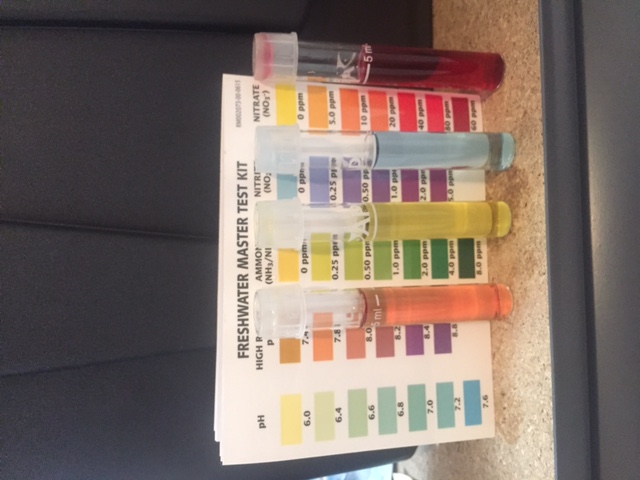 Water Tests.JPG