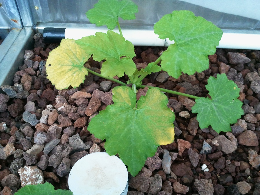 2016-11-02 19.27.47.jpg