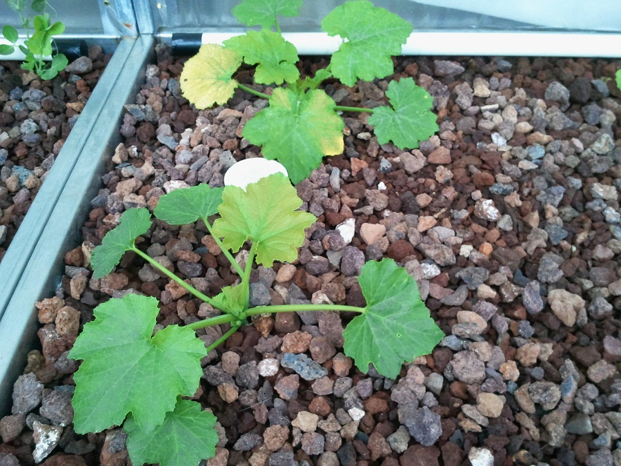 2016-11-02 19.27.55.jpg