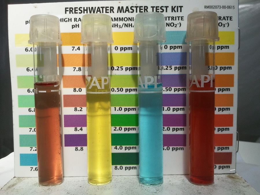 2016-11-03 15.12.04.jpg